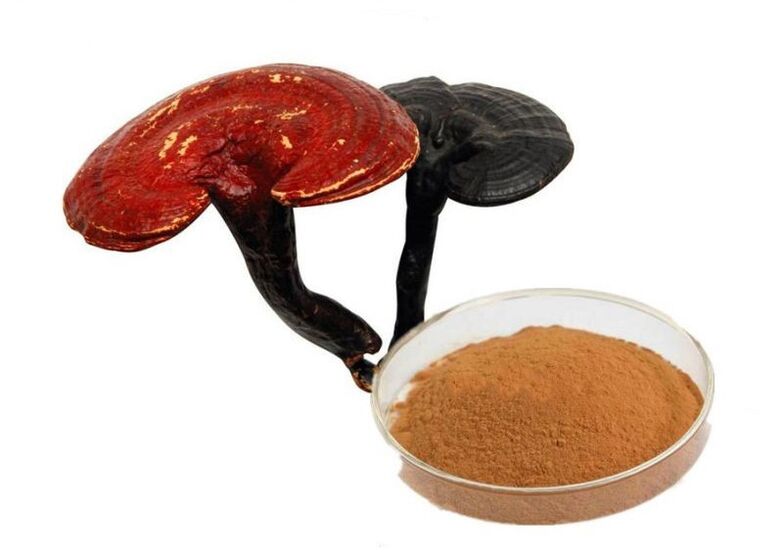 Capsules d'extrait de champignon reishi Prostamin Forte