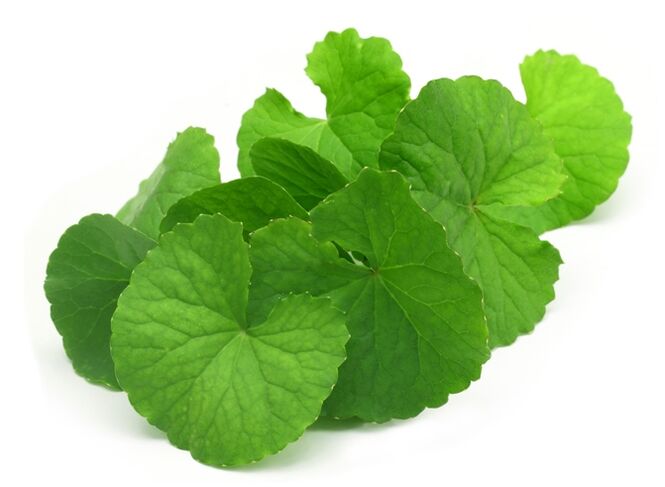 gotu kola avec Prostamin Forte